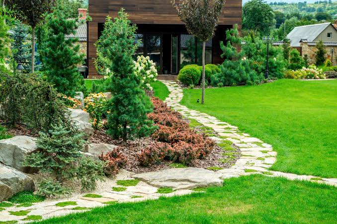 Landscaping project in Kilifi